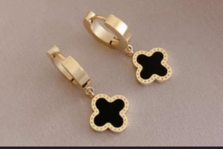 1 Pair Stainless Steel Earrings